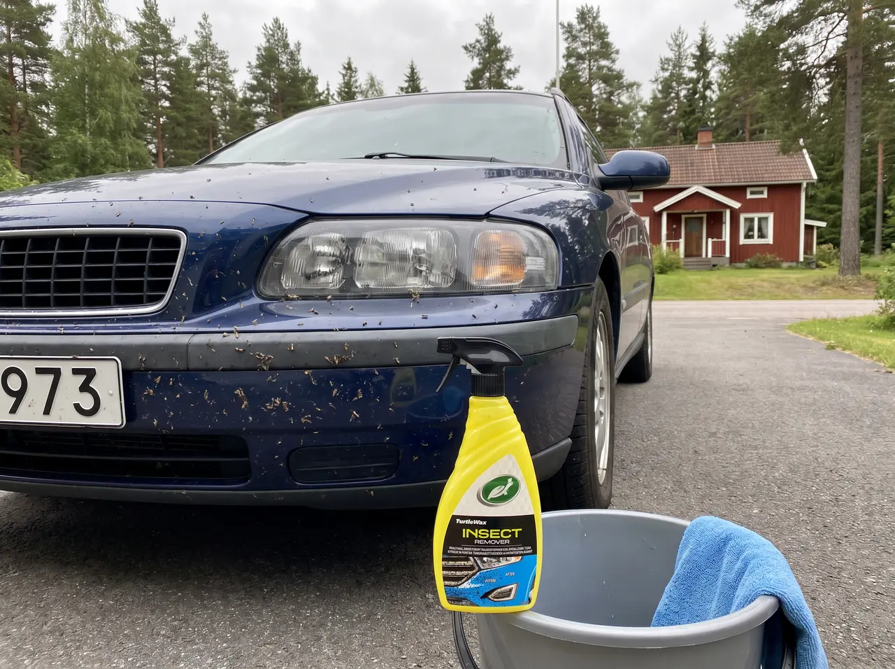 Bildmontage av Turtle Wax Insect Remover