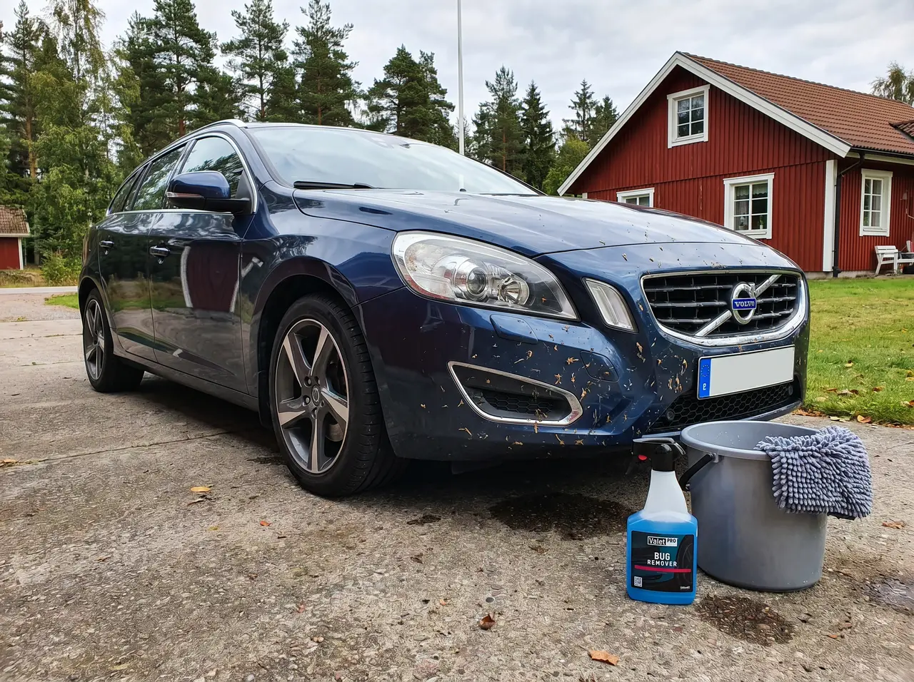 Bildmontage av ValetPRO Bug Remover